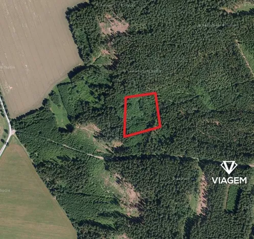 Prodej podílu lesa, Kamenice nad Lipou, 2095 m2