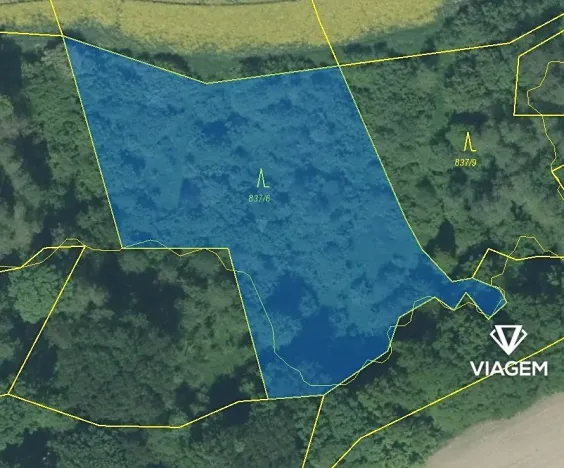 Prodej podílu lesa, Hlinka, 3418 m2