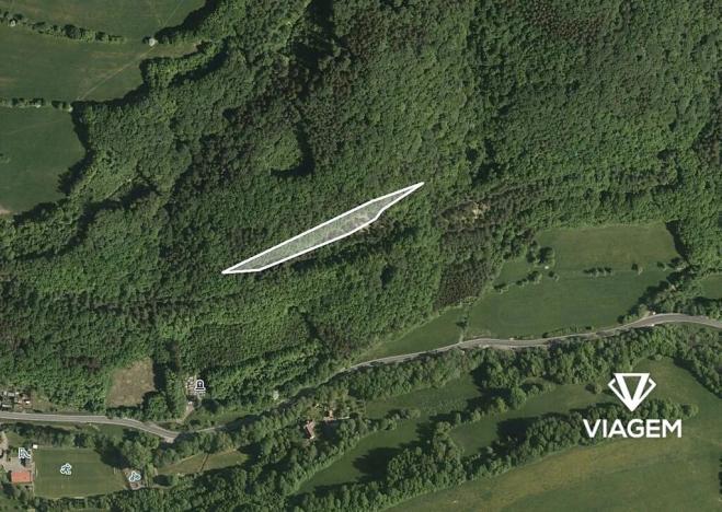 Prodej podílu lesa, Bratřejov, 3636 m2