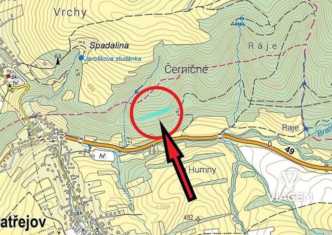 Prodej podílu lesa, Bratřejov, 3636 m2