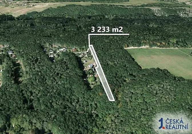 Prodej lesa, Vráž, 3233 m2
