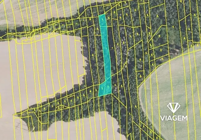 Prodej lesa, Chyňava, 3078 m2