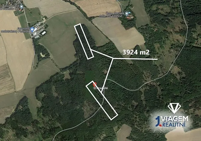 Prodej lesa, Hradiště, 3924 m2