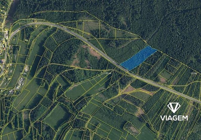 Prodej podílu lesa, Loužnice, 5983 m2