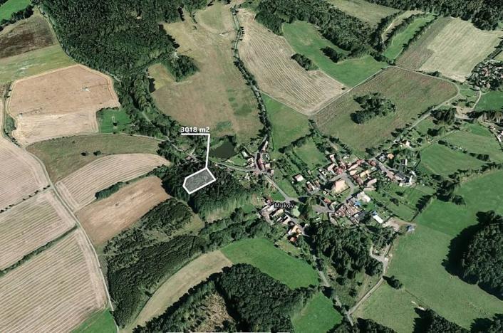 Prodej lesa, Hrobčice, 3018 m2