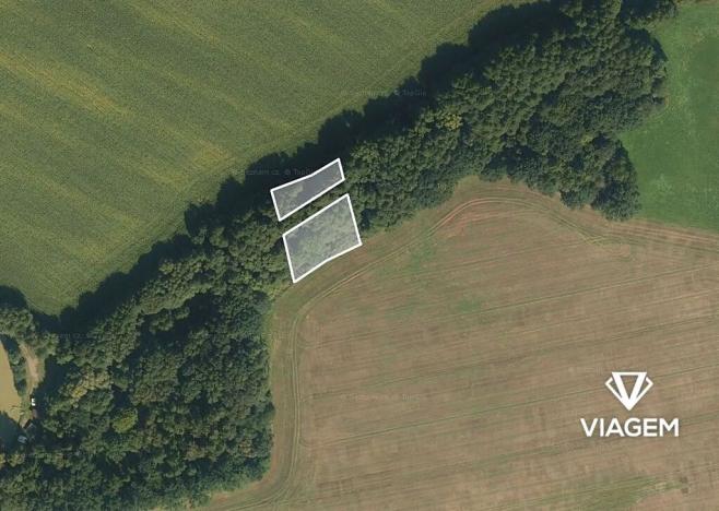 Prodej podílu pole, Mladějov na Moravě, 1655 m2