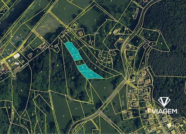 Prodej lesa, Mírová pod Kozákovem, 3466 m2