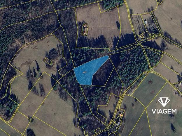 Prodej podílu lesa, Malá Bystřice, 101 m2