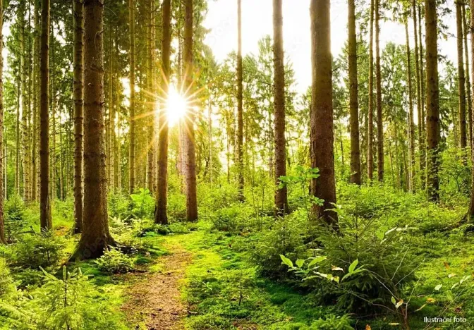 Prodej podílu zahrady, Útvina, 3532 m2