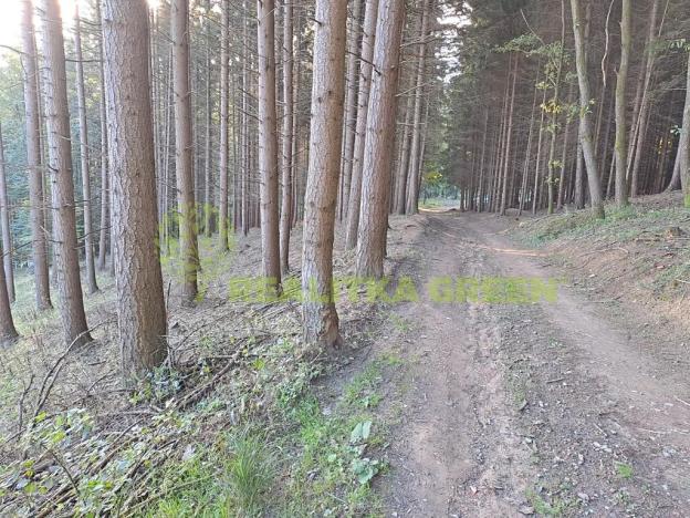 Prodej lesa, Zlín, 152613 m2