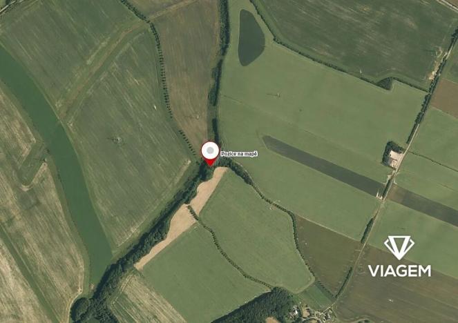 Prodej lesa, Jeseník nad Odrou, 3794 m2