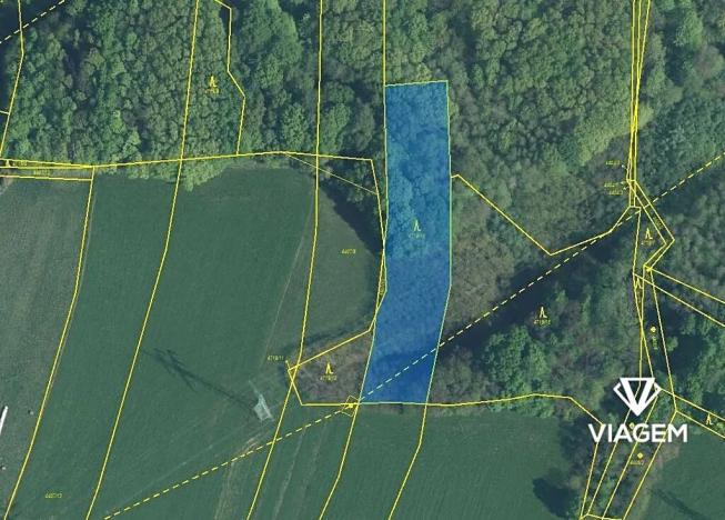 Prodej lesa, Dětmarovice, 3667 m2