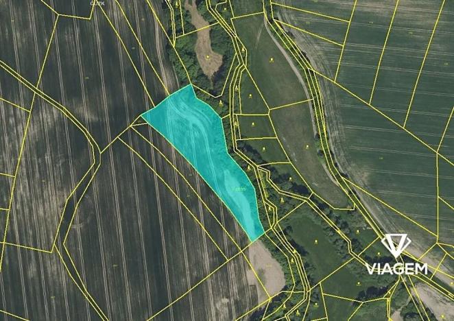 Prodej podílu pole, Petroupim, 218 m2