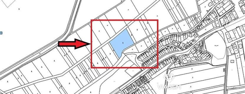 Prodej podílu lesa, Brod nad Dyjí, 3068 m2