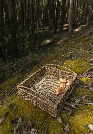 Prodej podílu zahrady, Halenkovice, 1171 m2