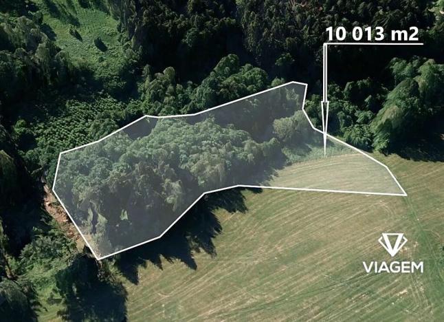 Prodej podílu lesa, Kaliště, 2503 m2