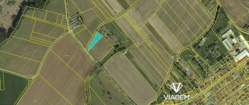 Prodej podílu pole, Němčice, 994 m2