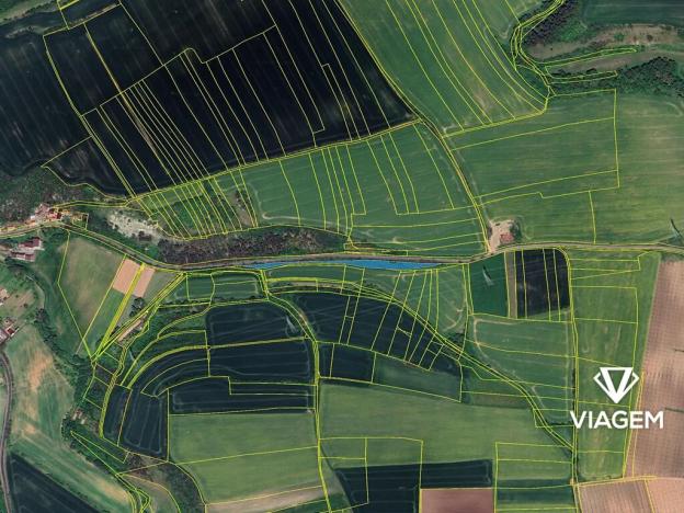 Prodej podílu pole, Hřivice, 312 m2