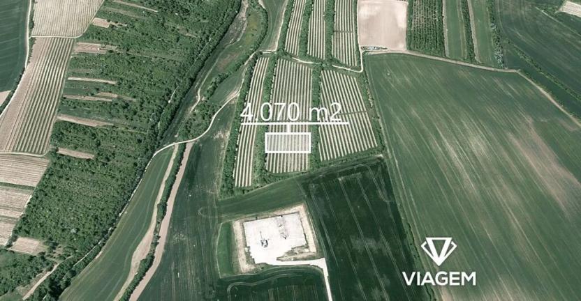 Prodej podílu sadu/vinice, Žarošice, 1017 m2