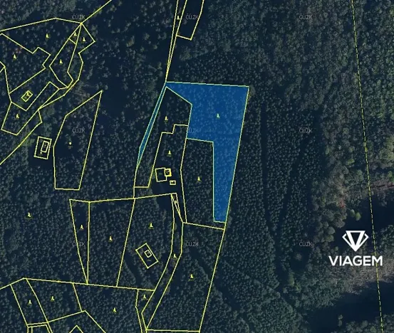 Prodej podílu lesa, Morávka, 5587 m2