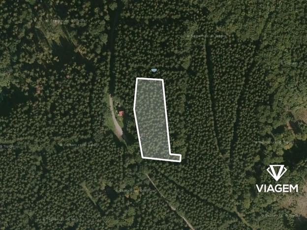 Prodej podílu lesa, Morávka, 2783 m2