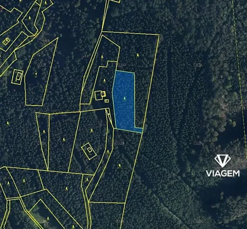 Prodej podílu lesa, Morávka, 2783 m2