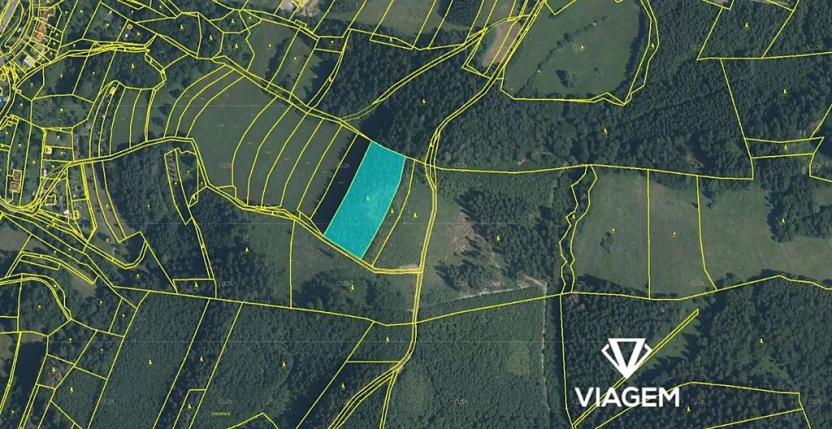 Prodej podílu lesa, Vsetín, Dolní Jasenka, 1671 m2