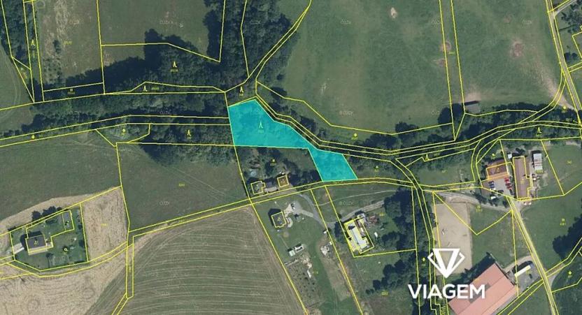 Prodej lesa, Dolní Domaslavice, 2186 m2