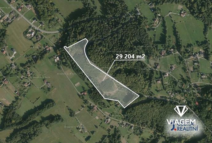 Prodej lesa, Bystřice, 29204 m2