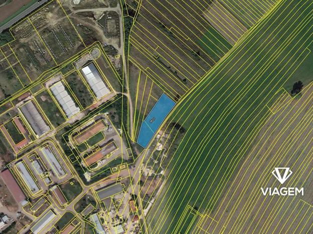 Prodej podílu pole, Hrušky, 74 m2