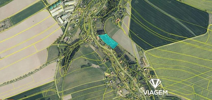 Prodej lesa, Trstěnice, 9612 m2