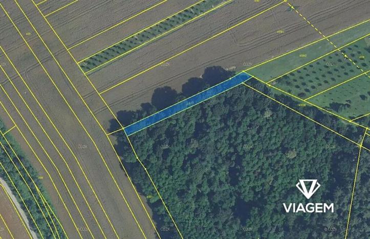 Prodej podílu lesa, Březolupy, 303 m2