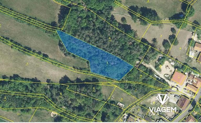 Prodej podílu lesa, Olešnice, 292 m2