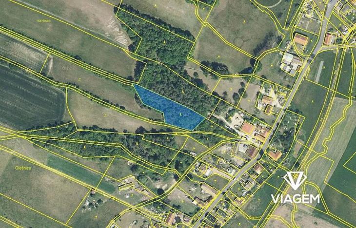 Prodej podílu lesa, Olešnice, 292 m2
