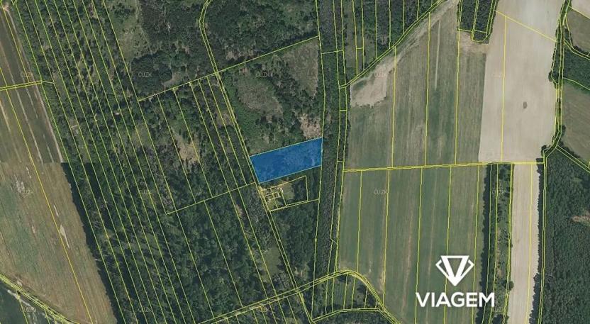 Prodej podílu lesa, Břehov, 3796 m2