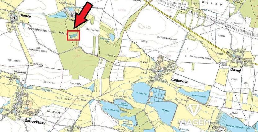 Prodej podílu lesa, Břehov, 3796 m2