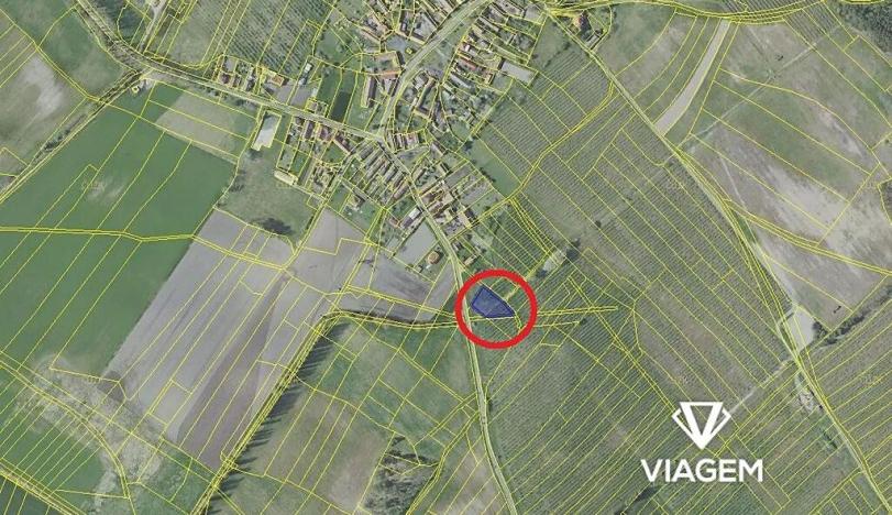 Prodej podílu pole, Horušice, 1294 m2