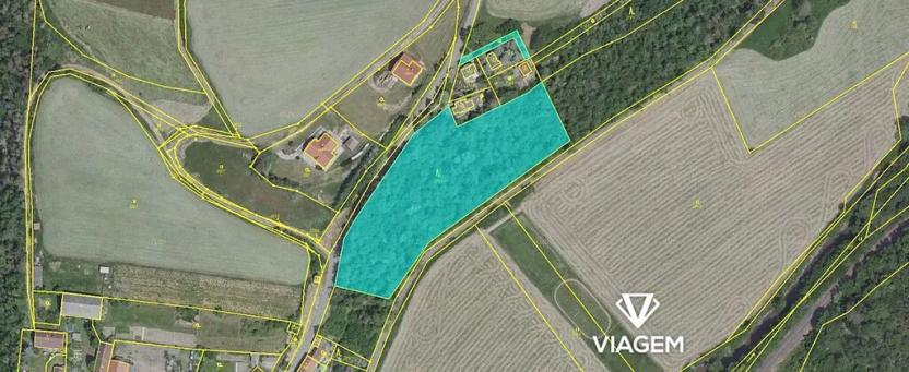 Prodej podílu lesa, Pustověty, 2203 m2