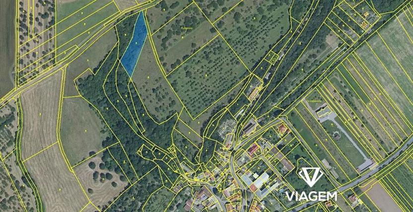 Prodej podílu pole, Veselíčko, 682 m2