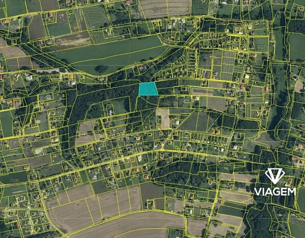 Prodej podílu lesa, Dolní Lutyně, 306 m2