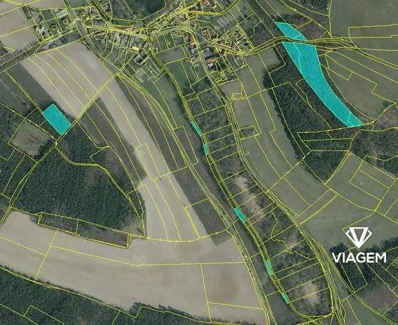 Prodej podílu lesa, Lhotka, 4907 m2