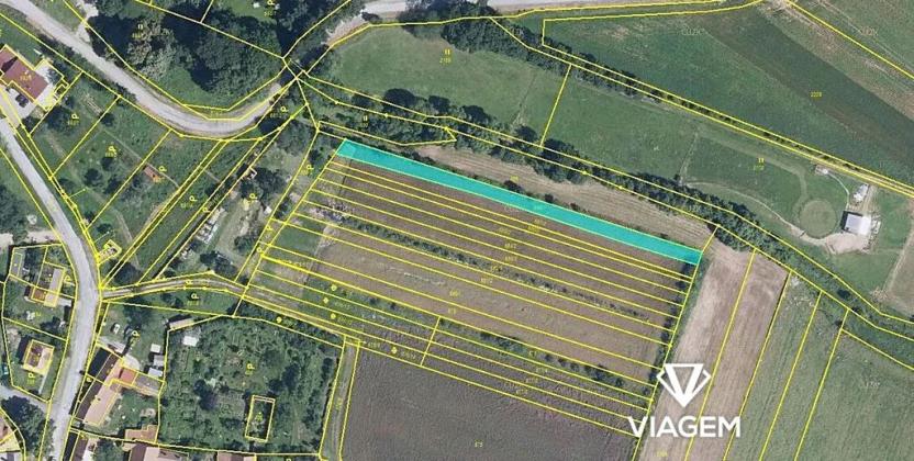 Prodej zahrady, Vysoké Popovice, 861 m2