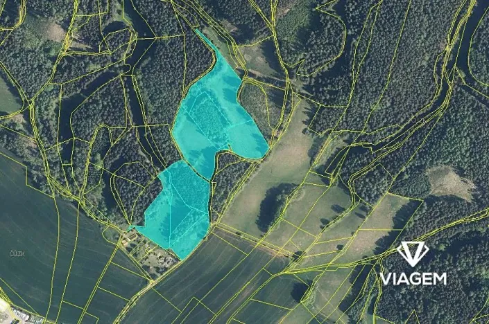 Prodej podílu pole, Borovnička, 3072 m2