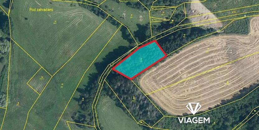 Prodej podílu lesa, Střemošice, 326 m2