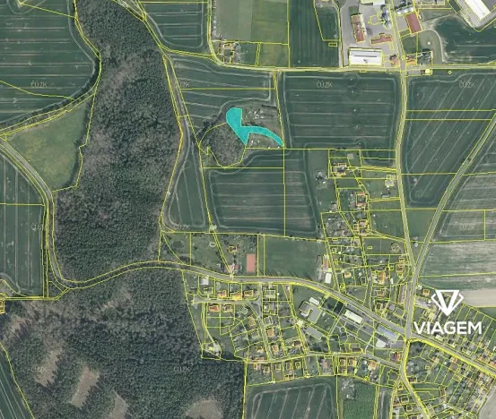 Prodej podílu lesa, Lipová, 2049 m2