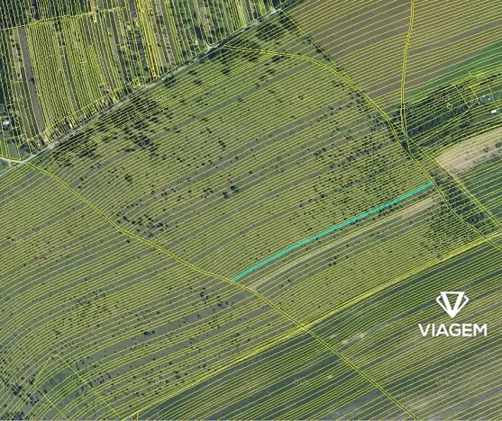 Prodej podílu pole, Břeclav, 1140 m2