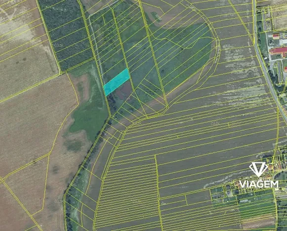 Prodej podílu zahrady, Tovačov, 1275 m2