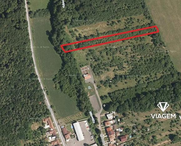 Prodej podílu lesa, Veletiny, 393 m2