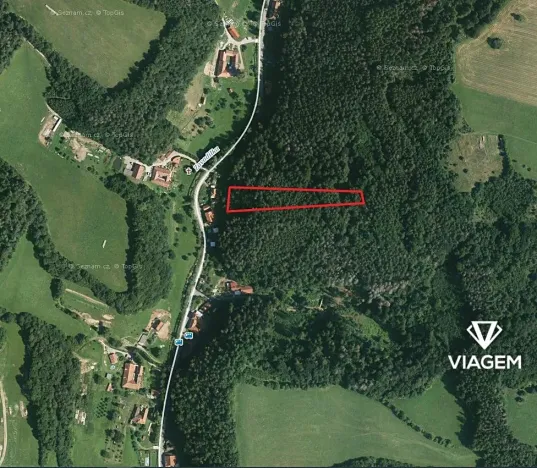 Prodej lesa, Letovice, 2703 m2