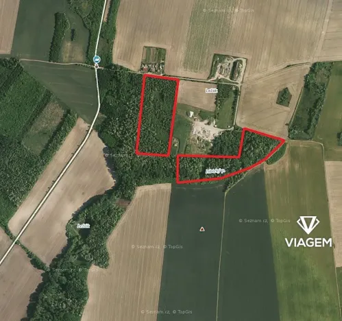 Prodej podílu lesa, Břežany, 7363 m2